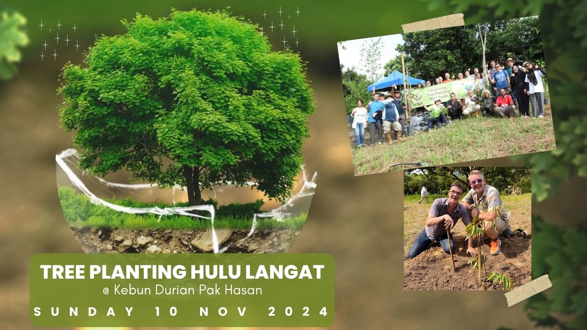 tree planting, treeplanting, hulu langat