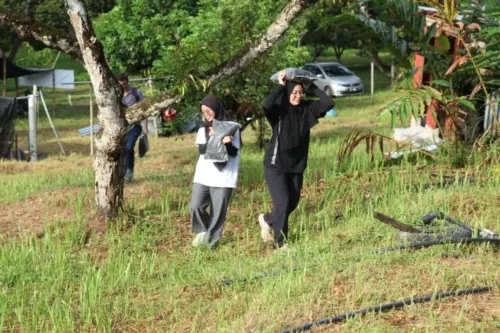 treetherium ignition event, hulu langat, tree planting, launching dao