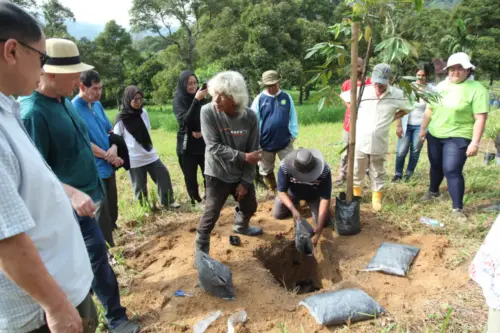 treetherium ignition event, hulu langat, tree planting, launching dao