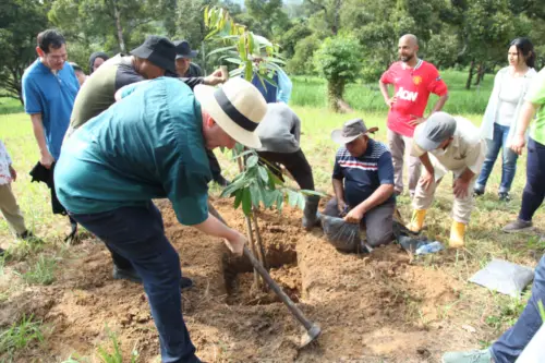 treetherium ignition event, hulu langat, tree planting, launching dao