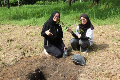 treetherium ignition event, hulu langat, tree planting, treeplanting, reforestation, launching dao