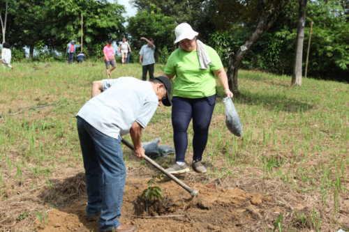 treetherium ignition event, hulu langat, tree planting, treeplanting, reforestation, launching dao