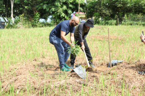 treetherium ignition event, hulu langat, tree planting, treeplanting, reforestation, launching dao