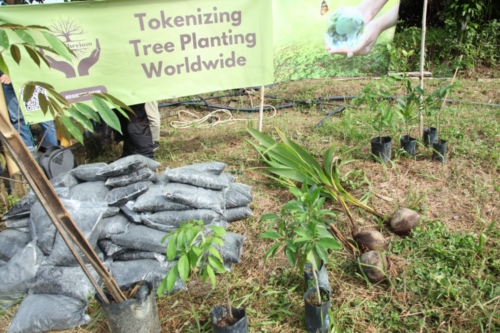 treetherium ignition event, hulu langat, tree planting, treeplanting, reforestation, launching dao