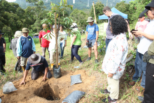 treetherium ignition event, hulu langat, tree planting, treeplanting, reforestation, launching dao