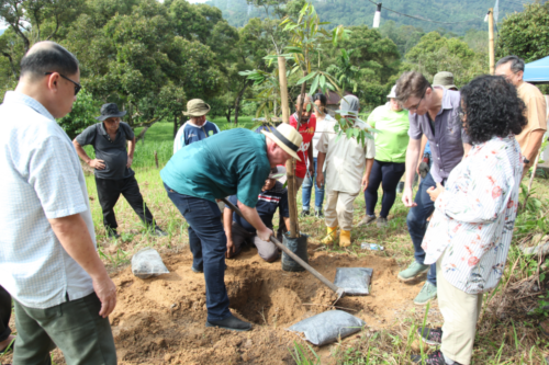 treetherium ignition event, hulu langat, tree planting, treeplanting, reforestation, launching dao