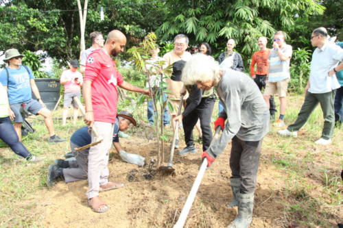 treetherium ignition event, hulu langat, tree planting, treeplanting, reforestation, launching dao